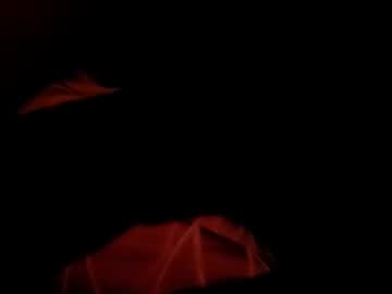 couple cam masturbation with bonnie_clyde909